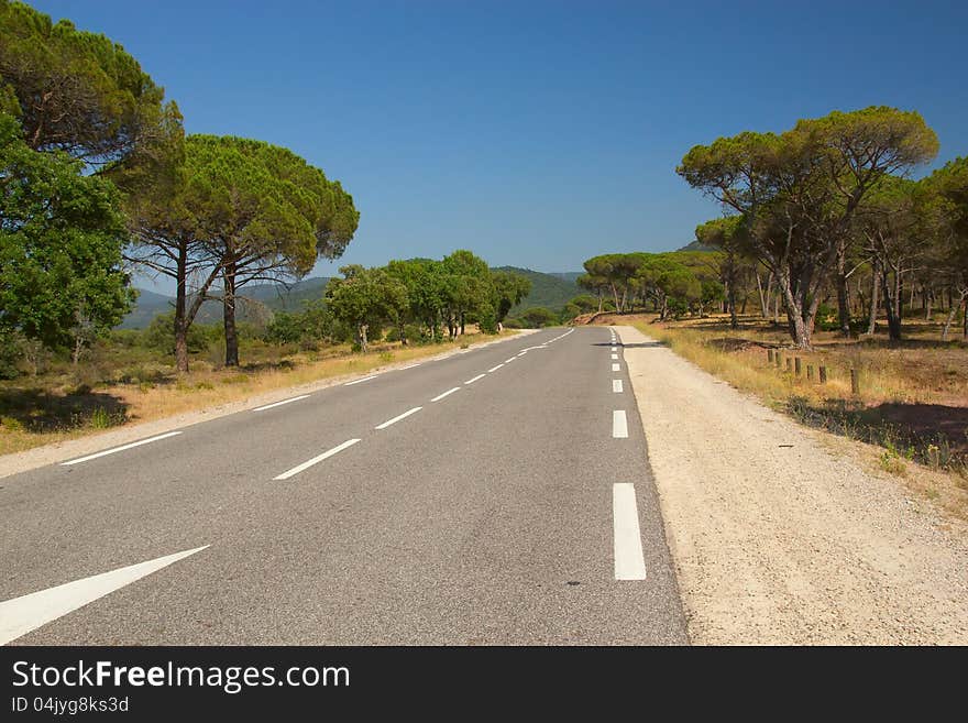 The asphalt road through the typical Mediterranean landscape. The road is lined with pine trees. (Provence, France). The asphalt road through the typical Mediterranean landscape. The road is lined with pine trees. (Provence, France)