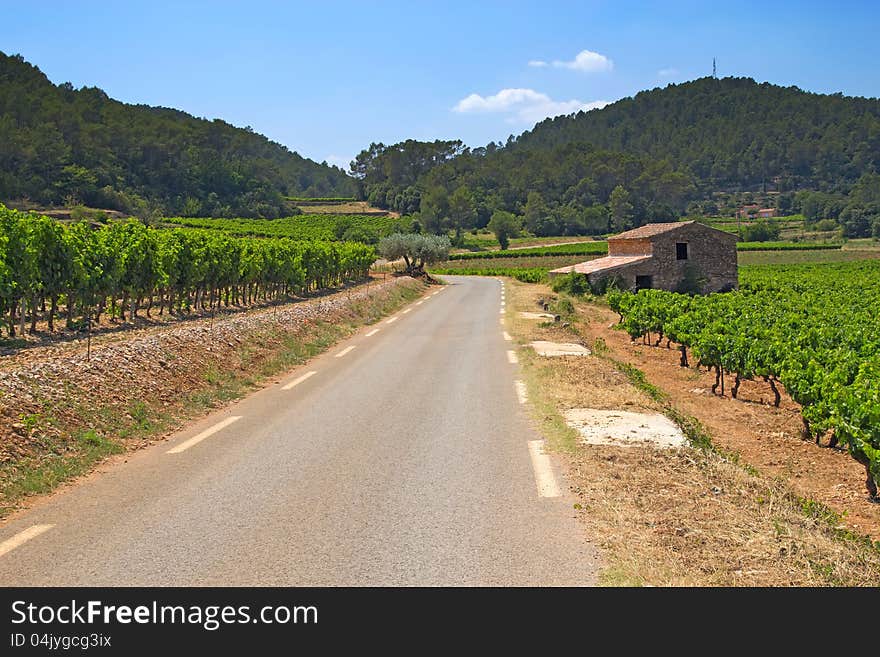 The road through the vineyards. The stone house on the roadside. (Provence, France)