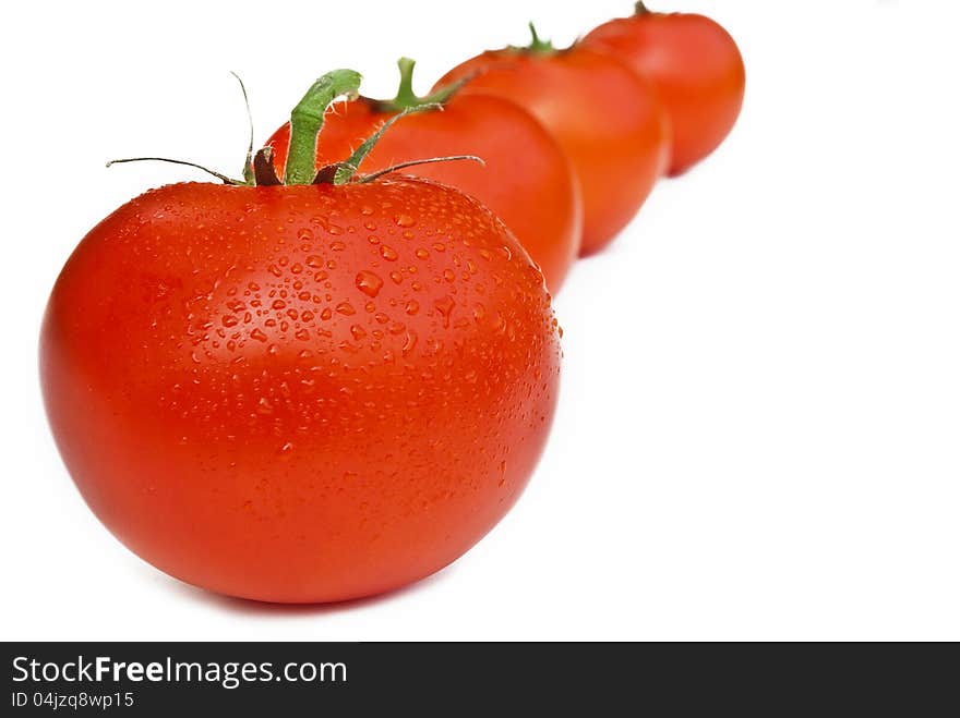 Line Of Tomatos