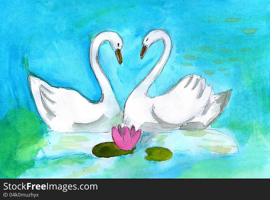 Two swans