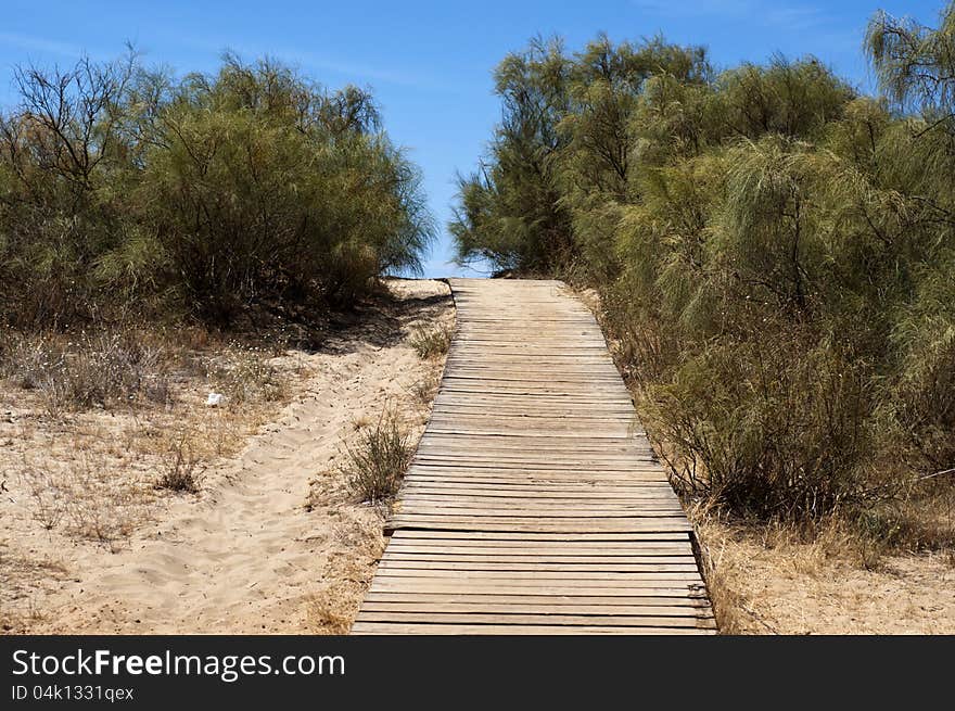 General view of beach with path toward the sea