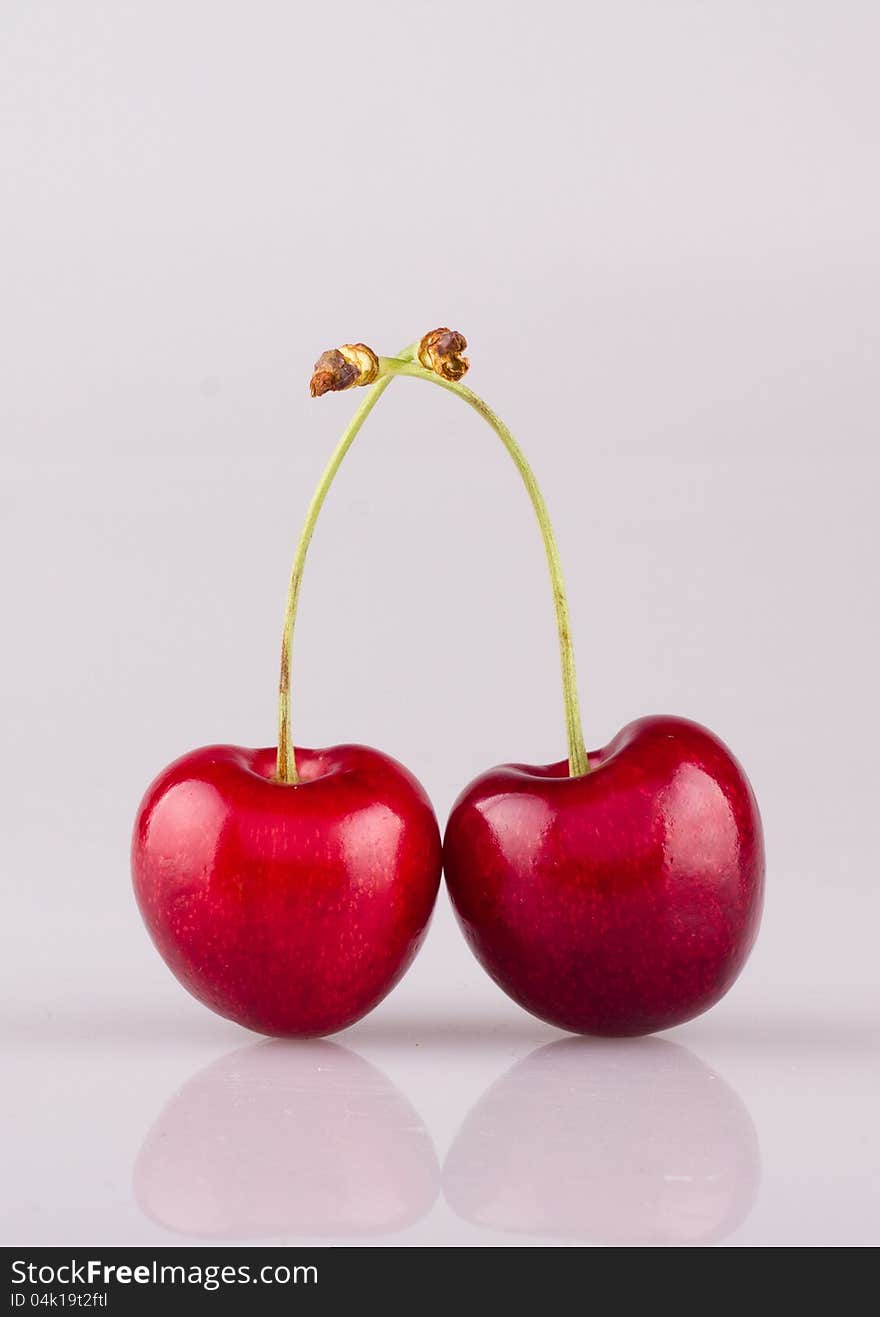 A pair of luscious cherries. A pair of luscious cherries