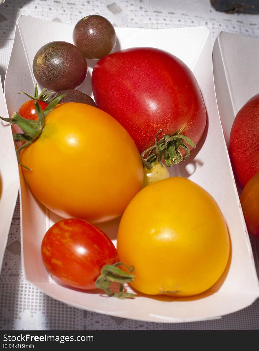 Several Different Tomato Varieties