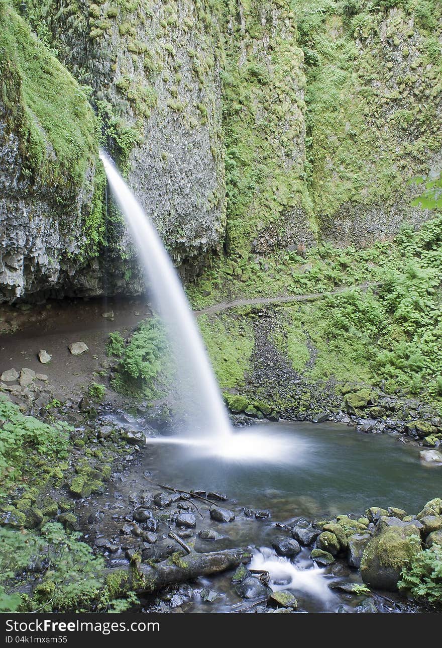 Horse Tail hiking trail, this is Pony Tail Falls, just outside of Multnomah Falls in the Columbia Gorge of Oregon. Horse Tail hiking trail, this is Pony Tail Falls, just outside of Multnomah Falls in the Columbia Gorge of Oregon.