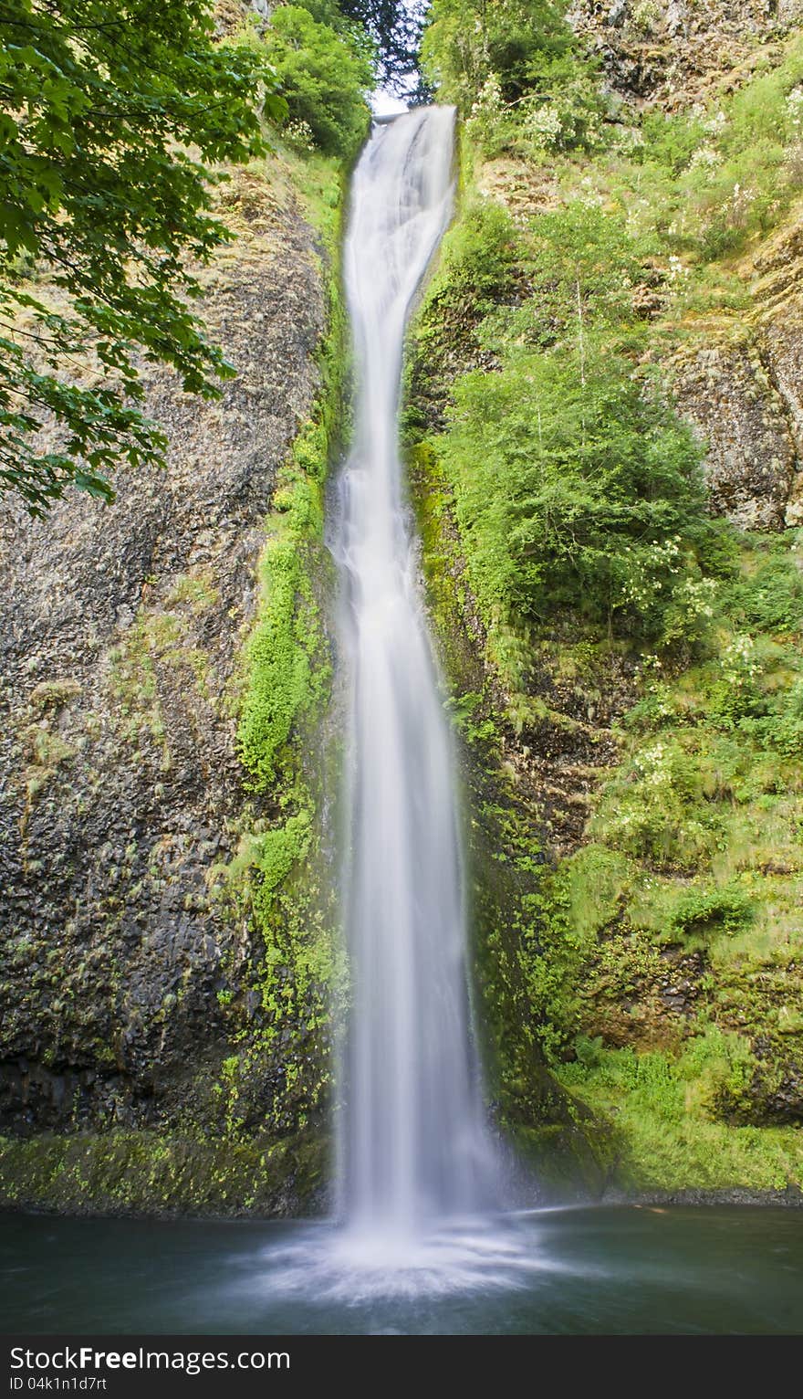 Horse Tail hiking trail, this is Horse Tail Falls, just outside of Multnomah Falls in the Columbia Gorge of Oregon. Horse Tail hiking trail, this is Horse Tail Falls, just outside of Multnomah Falls in the Columbia Gorge of Oregon.