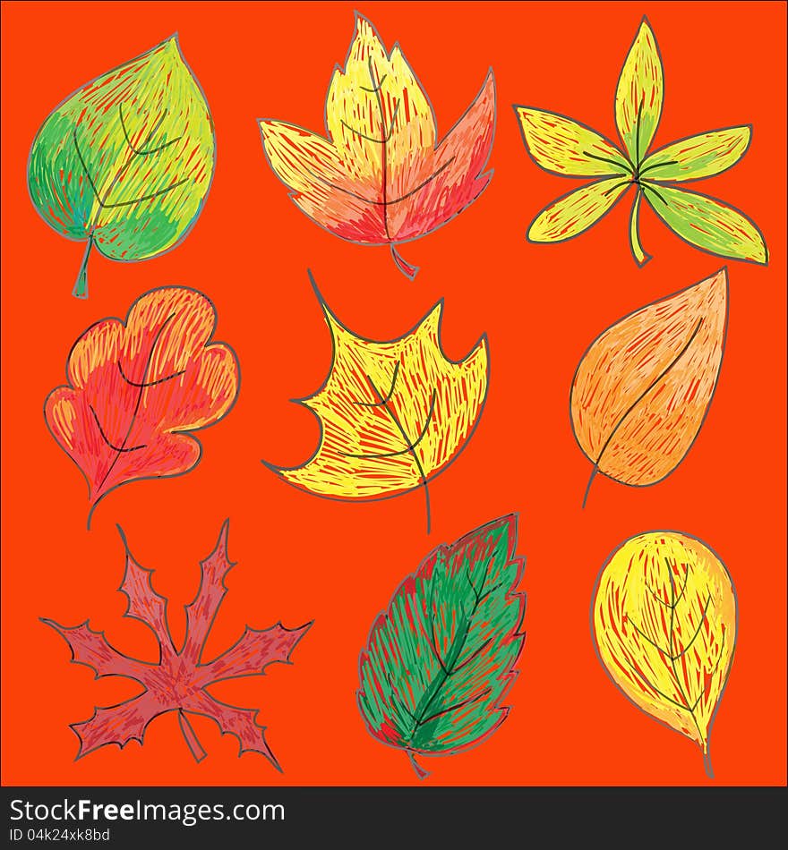 Vector set of leaves painted. Vector set of leaves painted