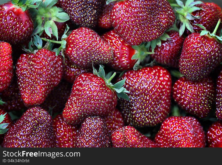 Ripe strawberries closeup. macro shot. Ripe strawberries closeup. macro shot