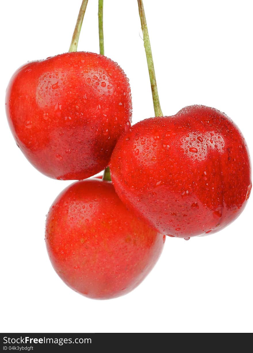 Three Sweet Cherry close up isolated on white background