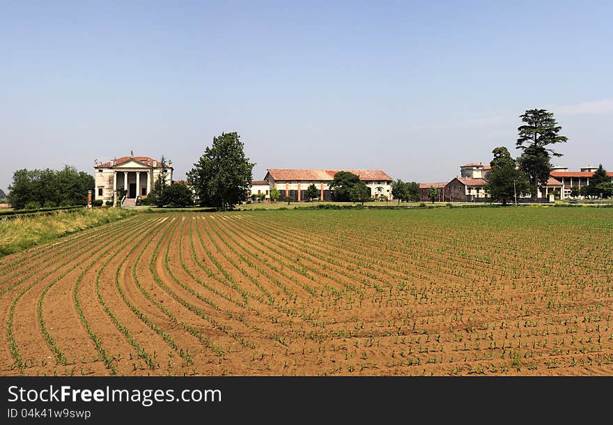 An old Italian villa with large cultivated land. An old Italian villa with large cultivated land