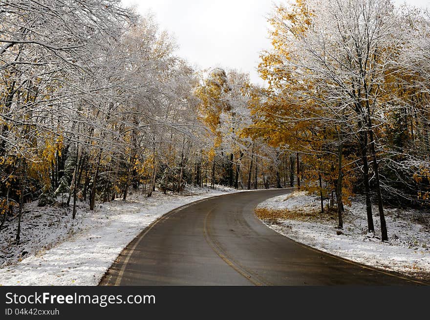 Road and woods after late fall snow