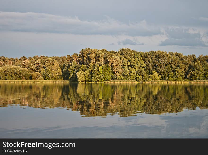 Trees and Lake