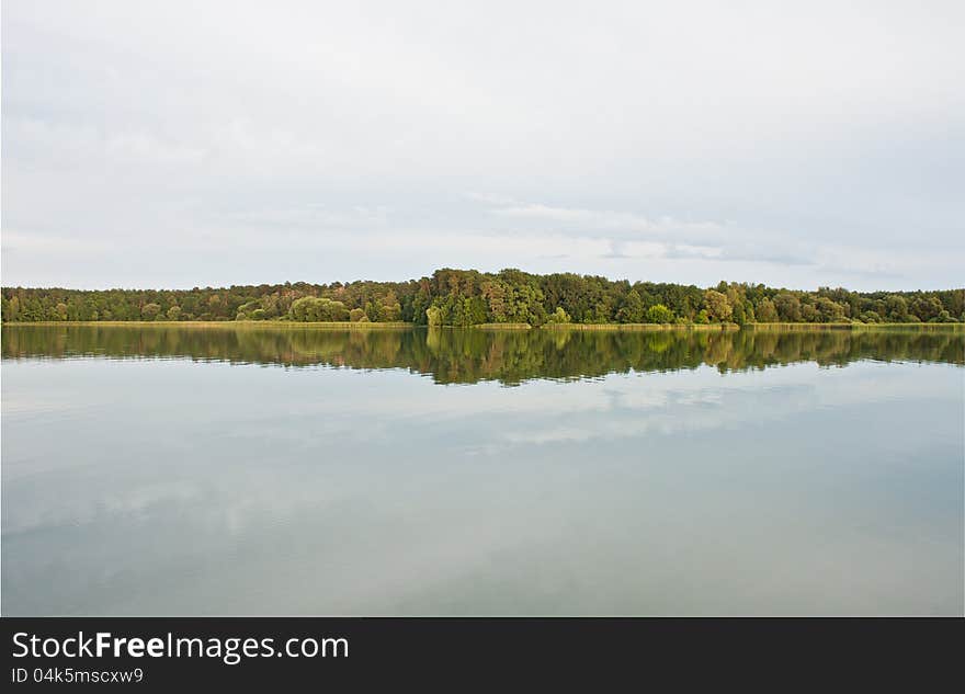 Trees and Lake