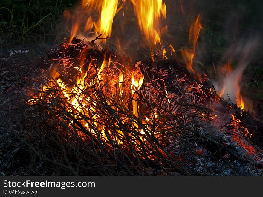 Burning branches