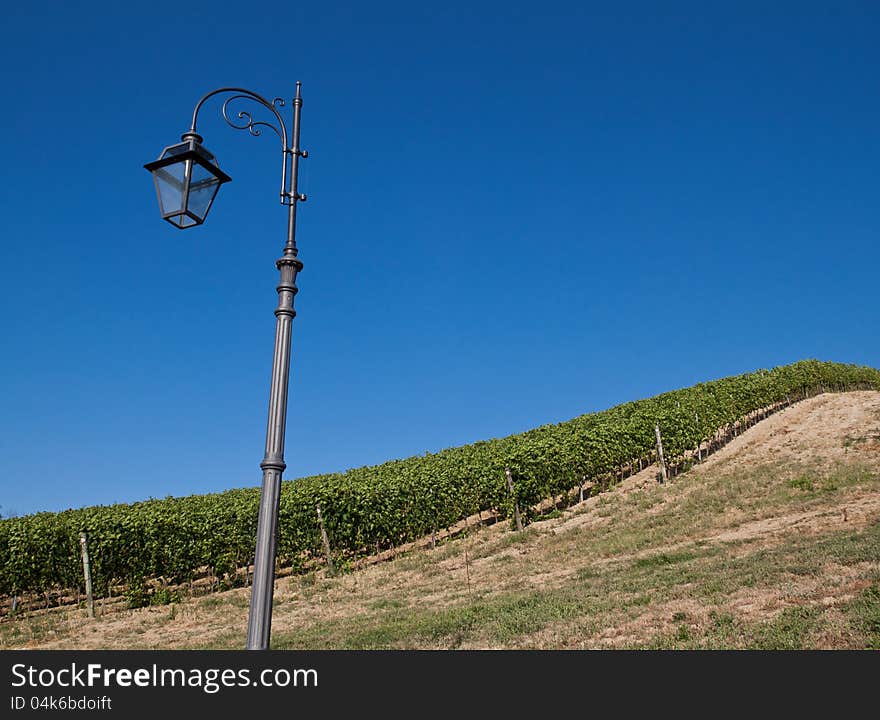 A Vineyard In Italy