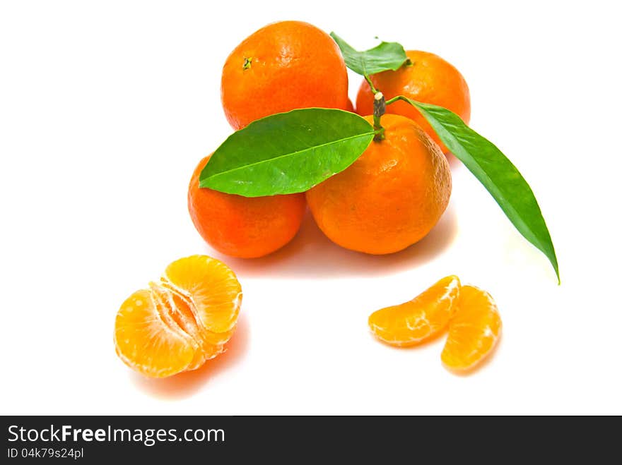 Tangerines on a branch on white