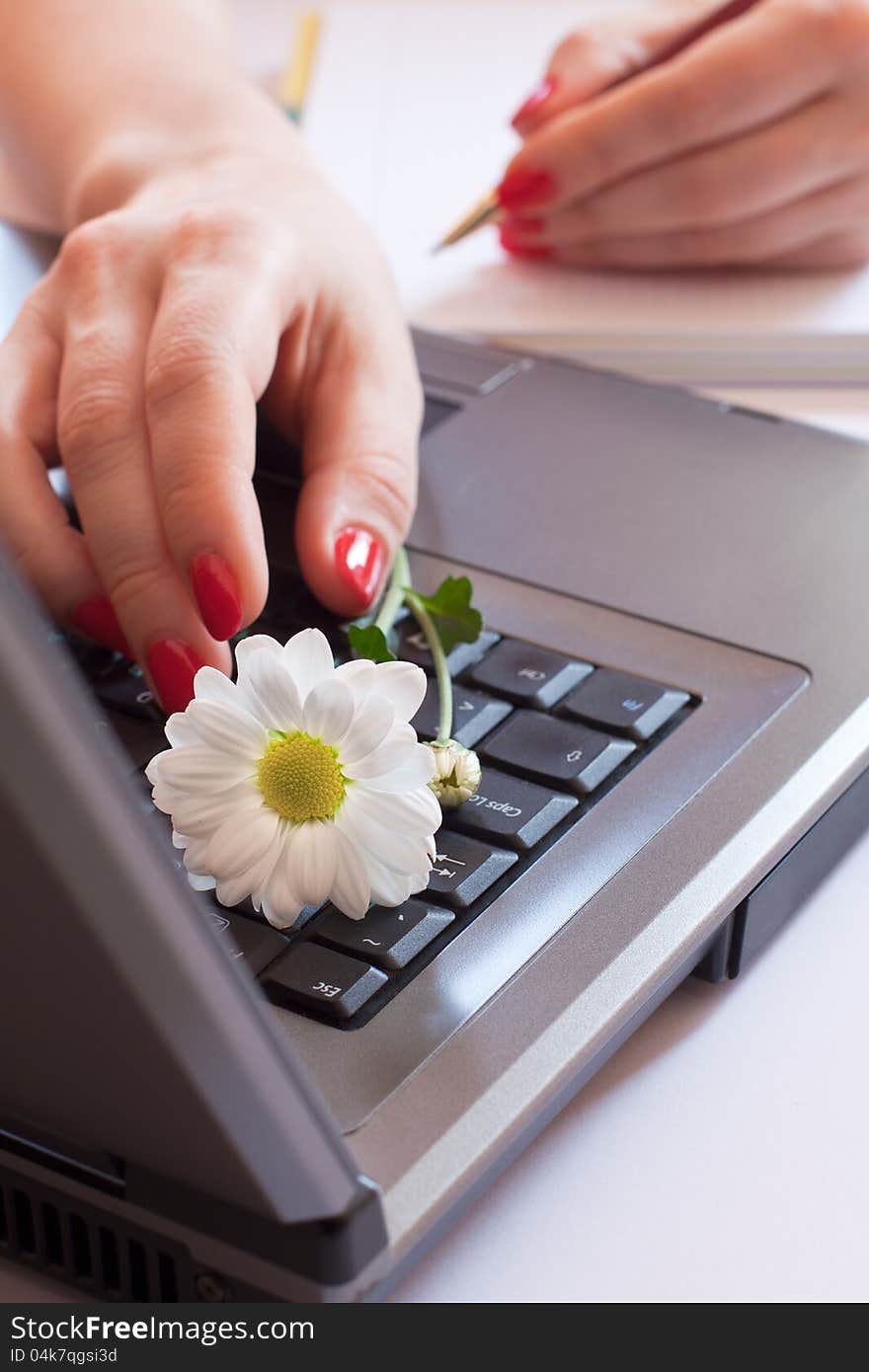 Female hands with red nails on the keyboard and notebook, white flower. Female hands with red nails on the keyboard and notebook, white flower