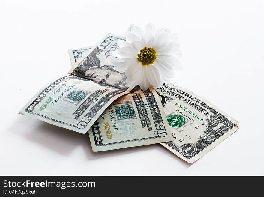 Dollars and white flower on them. Dollars and white flower on them