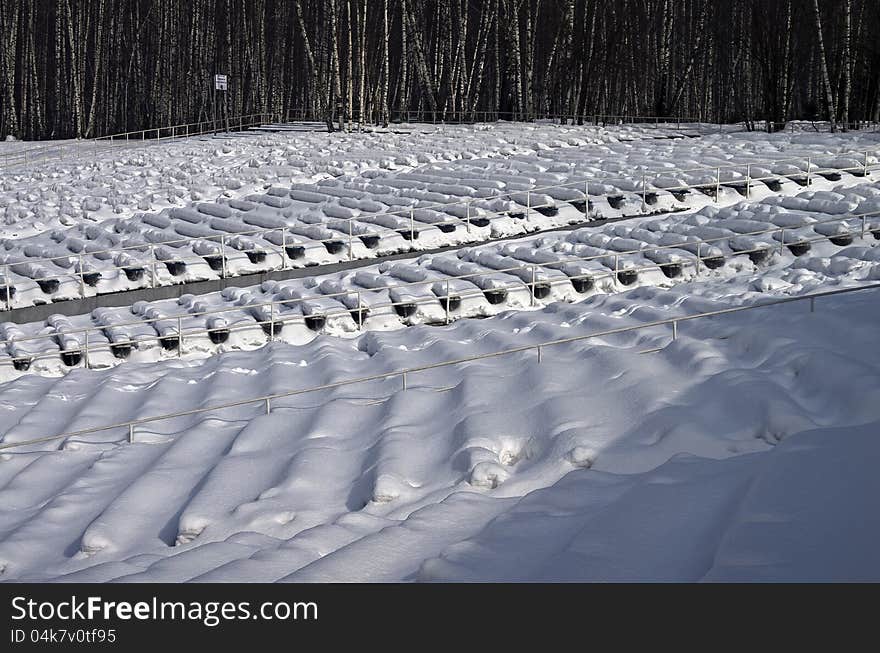 Summer Theater In The Winter.