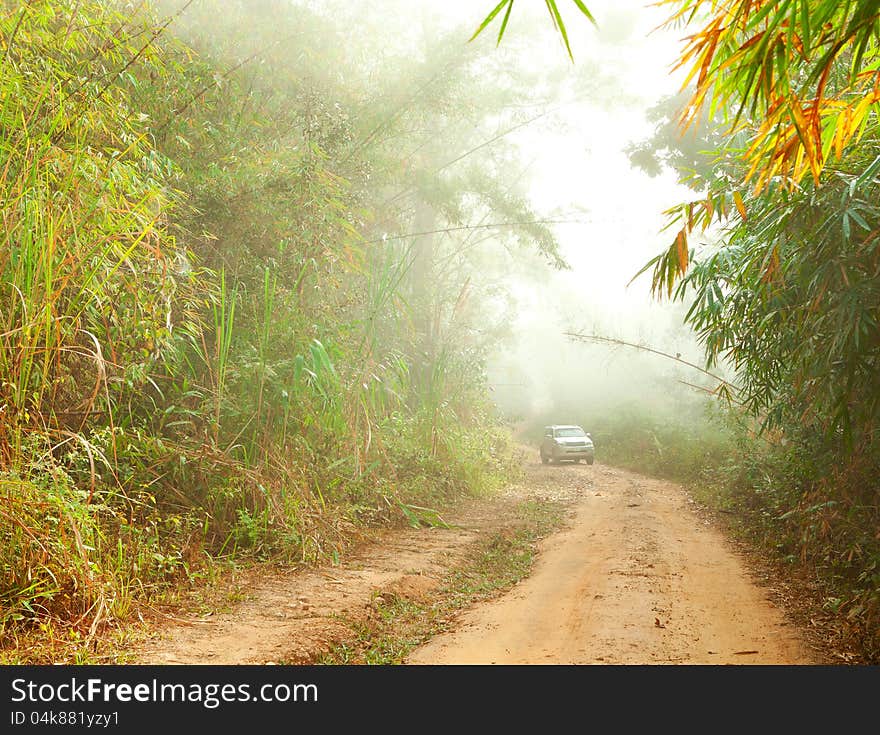 Ground road in jungle near Umphang. Tak Province in northwestern Thailand.