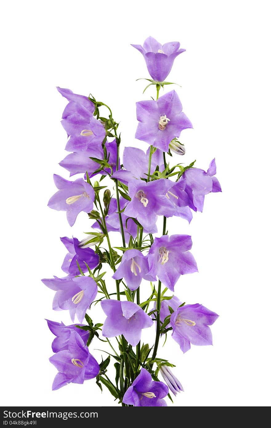 Blue hand bells on a white background. Blue hand bells on a white background