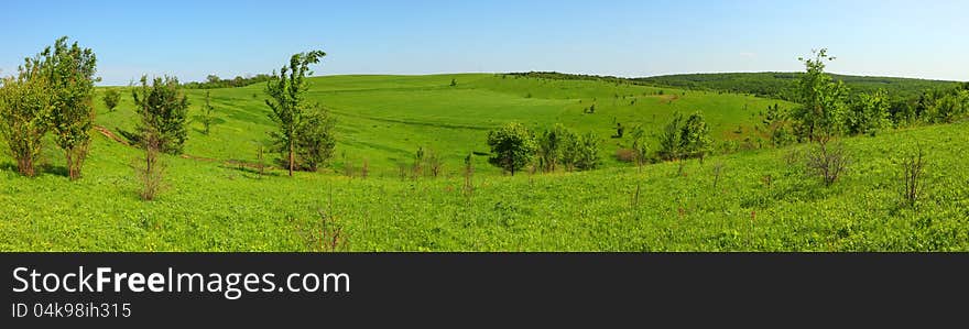 Brightly green meadow landscape