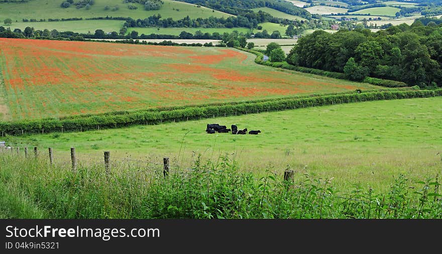 An English Rural Landscape in the Chiltern Hills