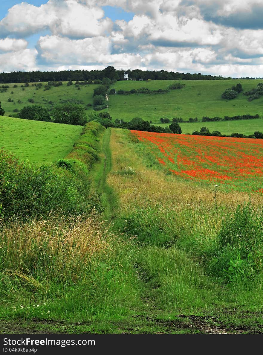 An English Rural Landscape in the Chiltern Hills