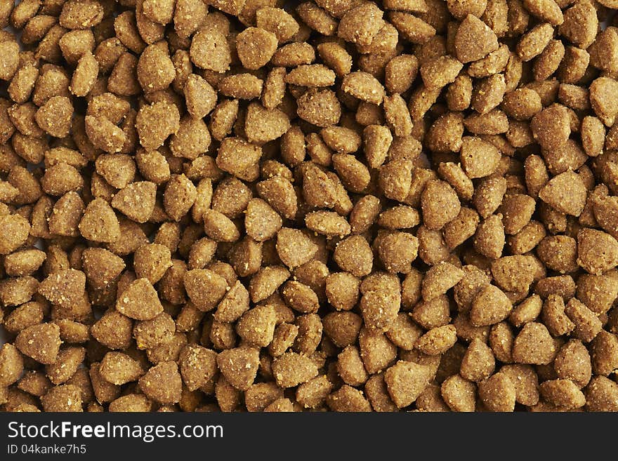 Dog or cat food close up