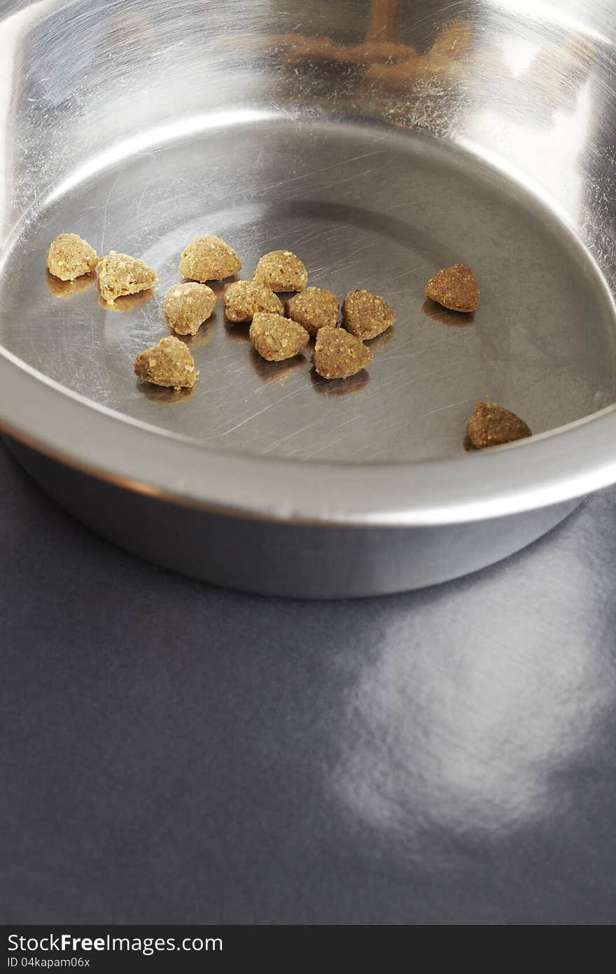 Kibble dog or cat food in bowl