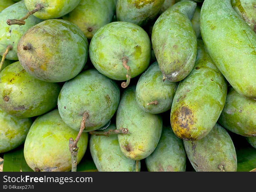 Green mango fruit at thailand