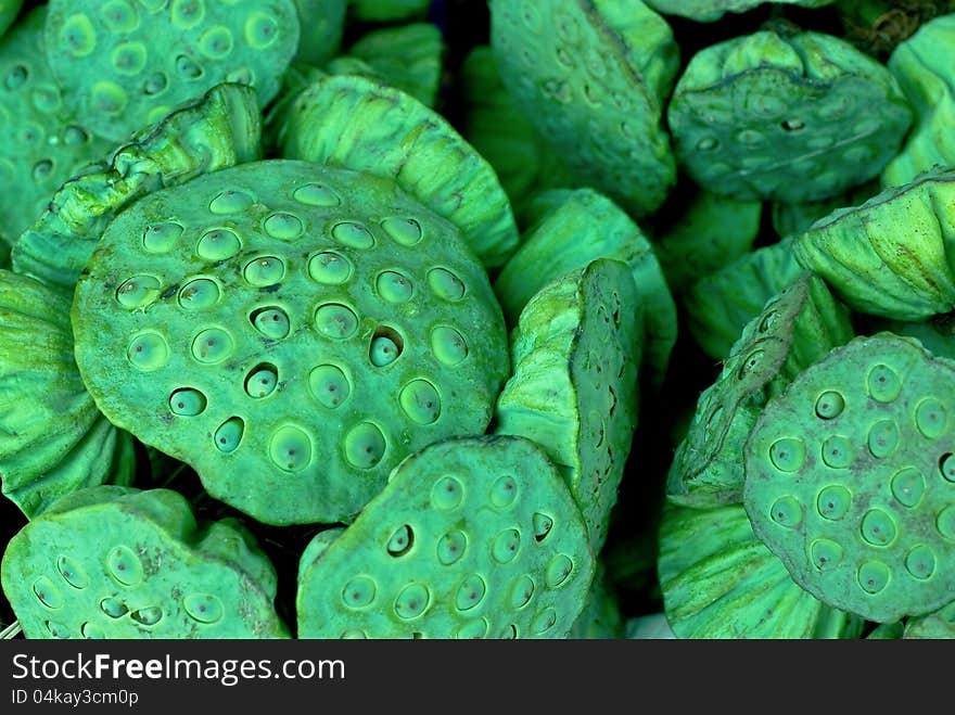 Close up of lotus seeds