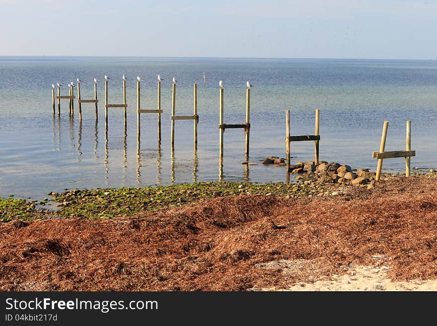 Broken Pier Stilts