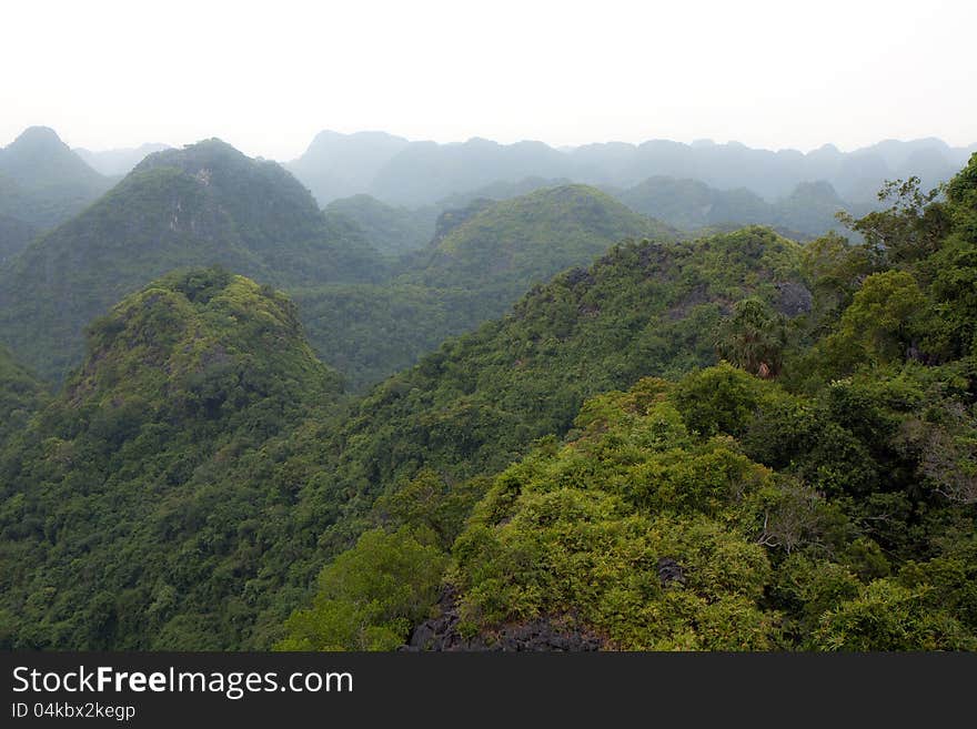 Amazing view of a lush and green forest from above at the Cat Ba National Park in Vietnam. Amazing view of a lush and green forest from above at the Cat Ba National Park in Vietnam.