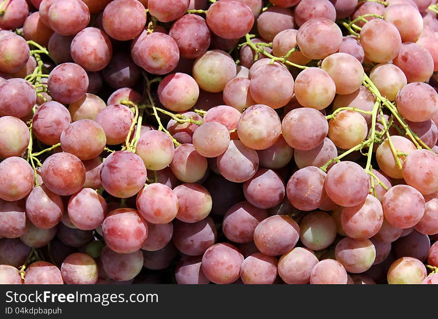 Bunch of red grapes as an agricultural background