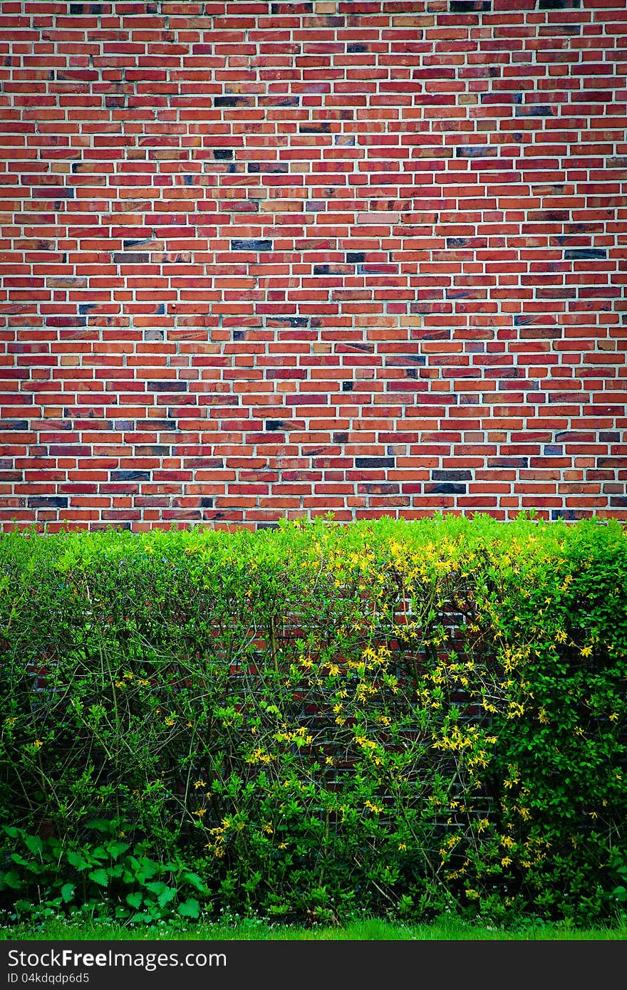 Background with green bushes at an brown wall backdrop