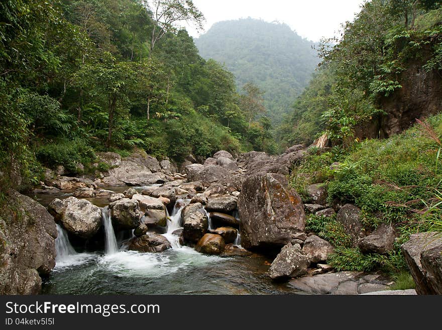 Lush landscape with river