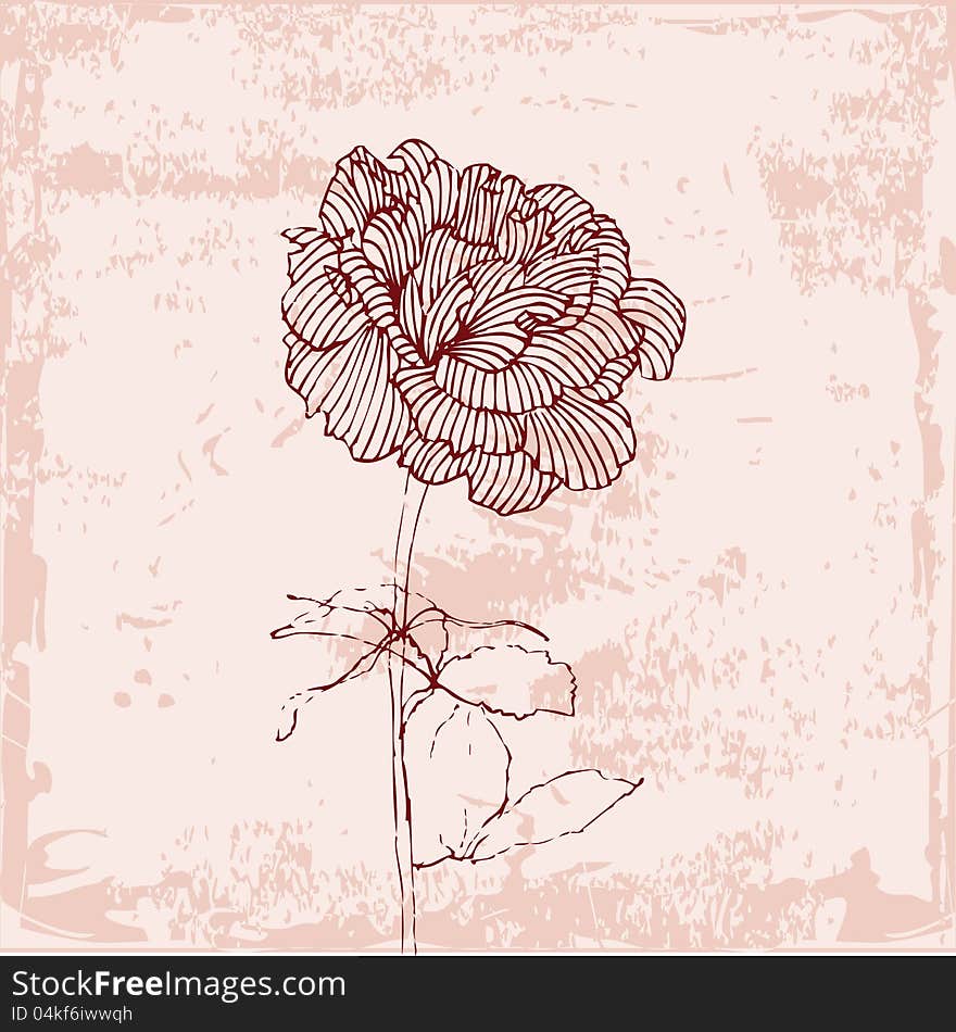 Red rose card on pattern background