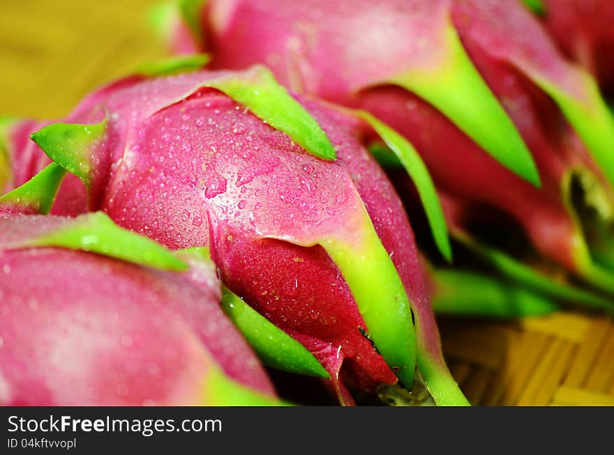 Dragon Fruit.