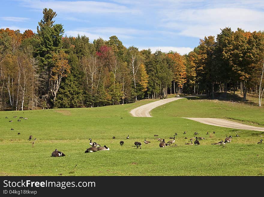 Landscapes of canada