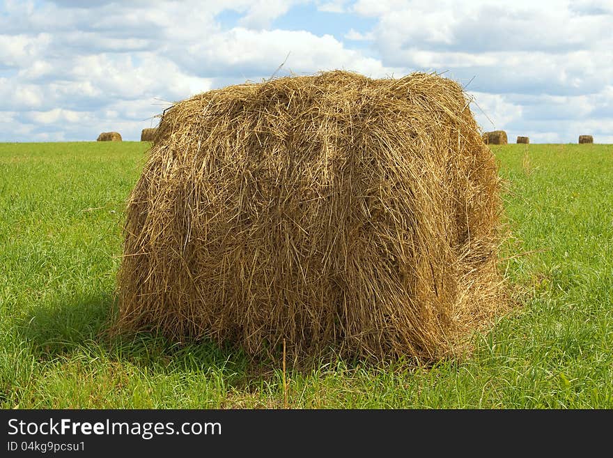 Stack Of Hay Harvested