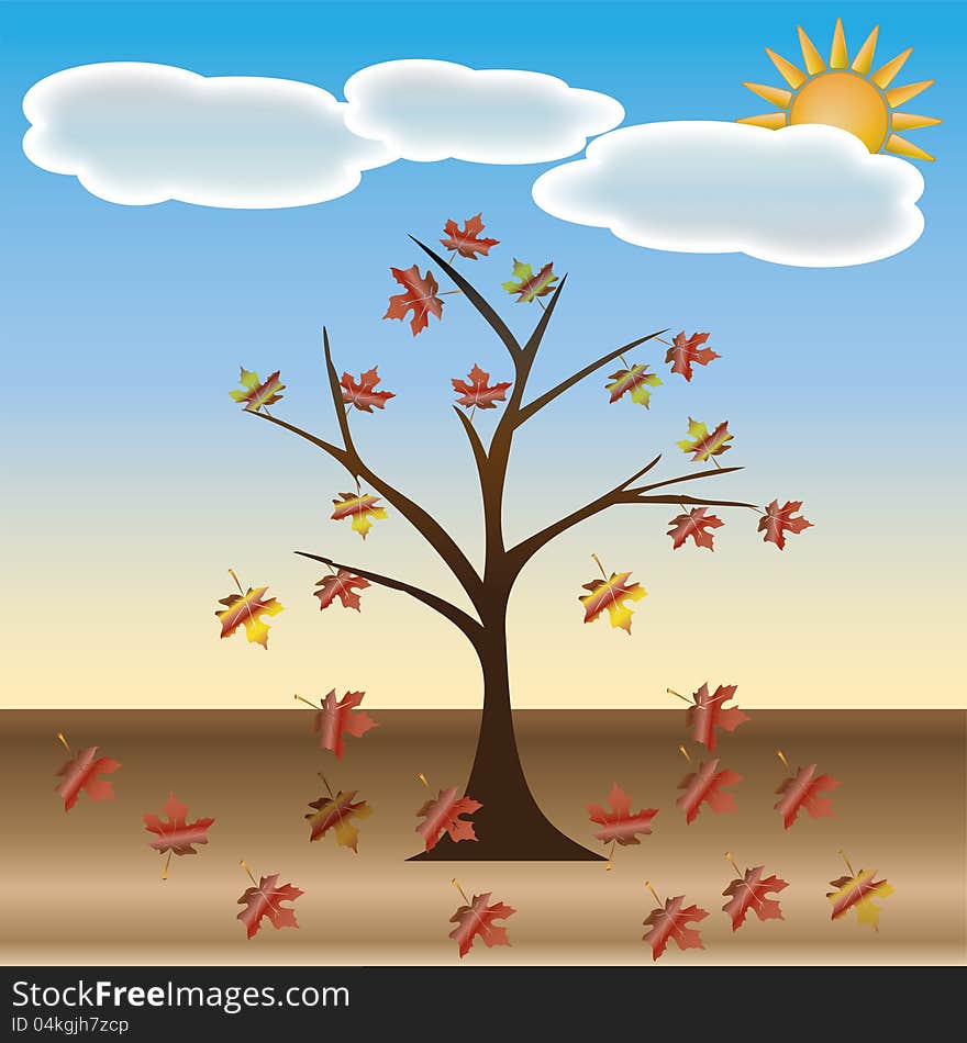 Beautiful autumn tree for your design. Beautiful autumn tree for your design.