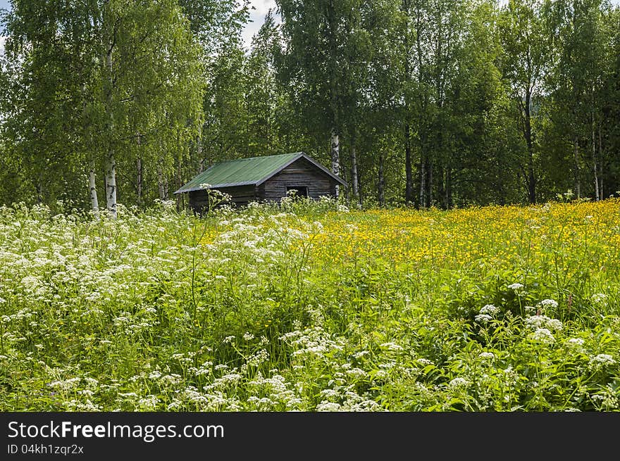 Barn in the Swedish field