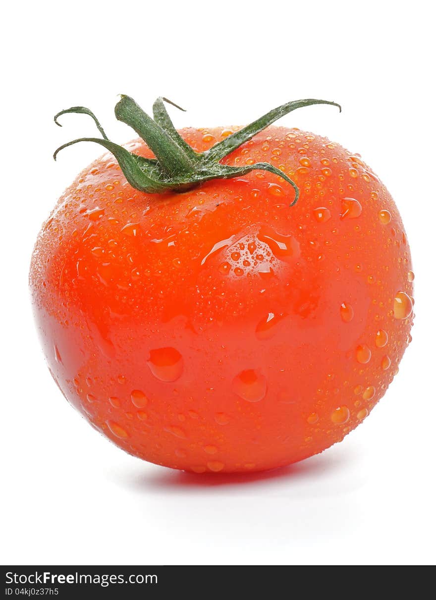 Single Tomato straight from garden with water droplets isolated on white background