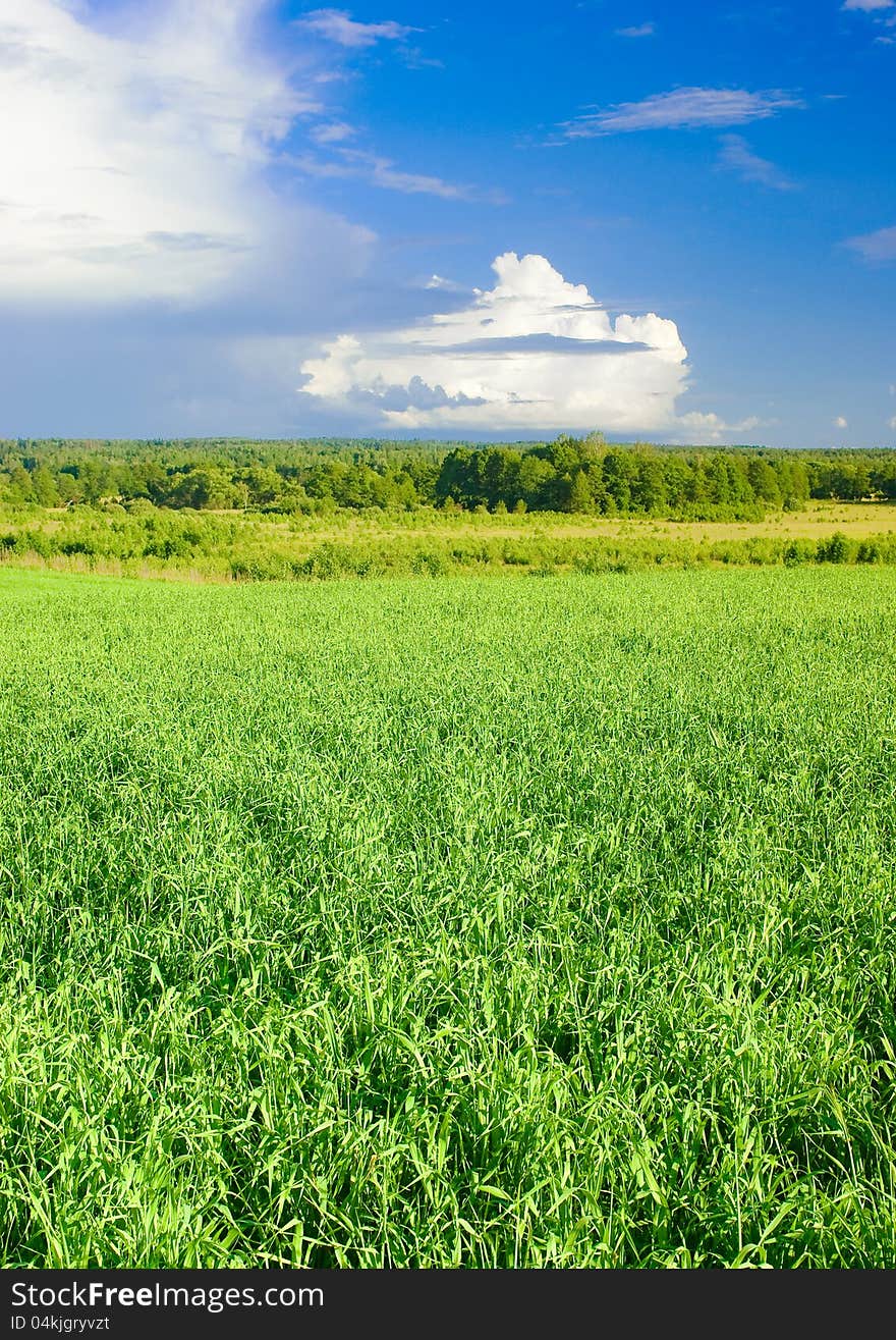 Typical landscape in Central Russia. Typical landscape in Central Russia