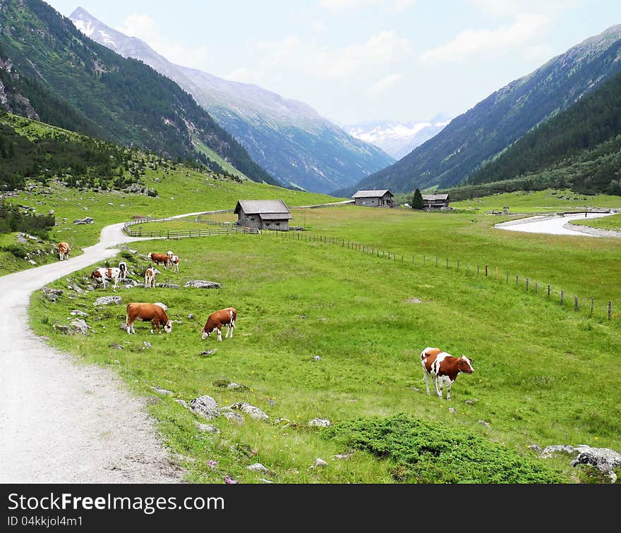 Valley in the Tyrolean Alps