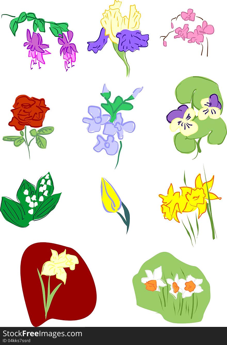 Flowers: pansy narcissus orchid iris fuchsia rose iris forget-me-not