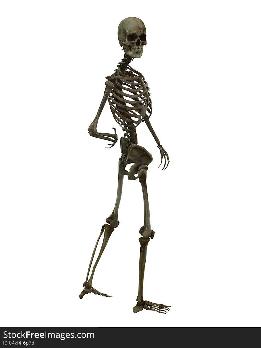 A skeleton in a pose. A skeleton in a pose