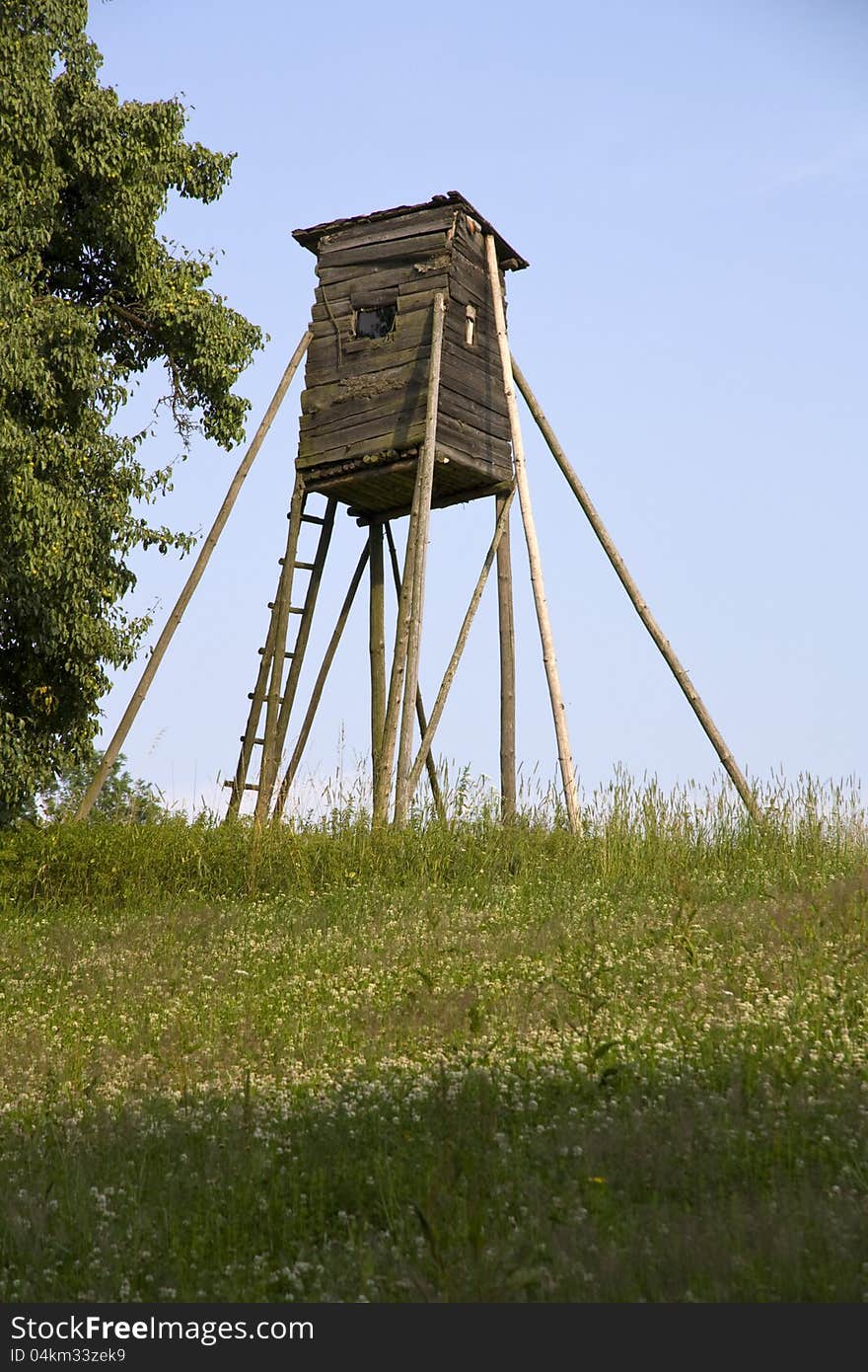 Wooden shelter for hunters on the green between.