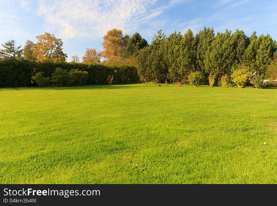 Perfect green grass lawn below blue skies. Perfect green grass lawn below blue skies