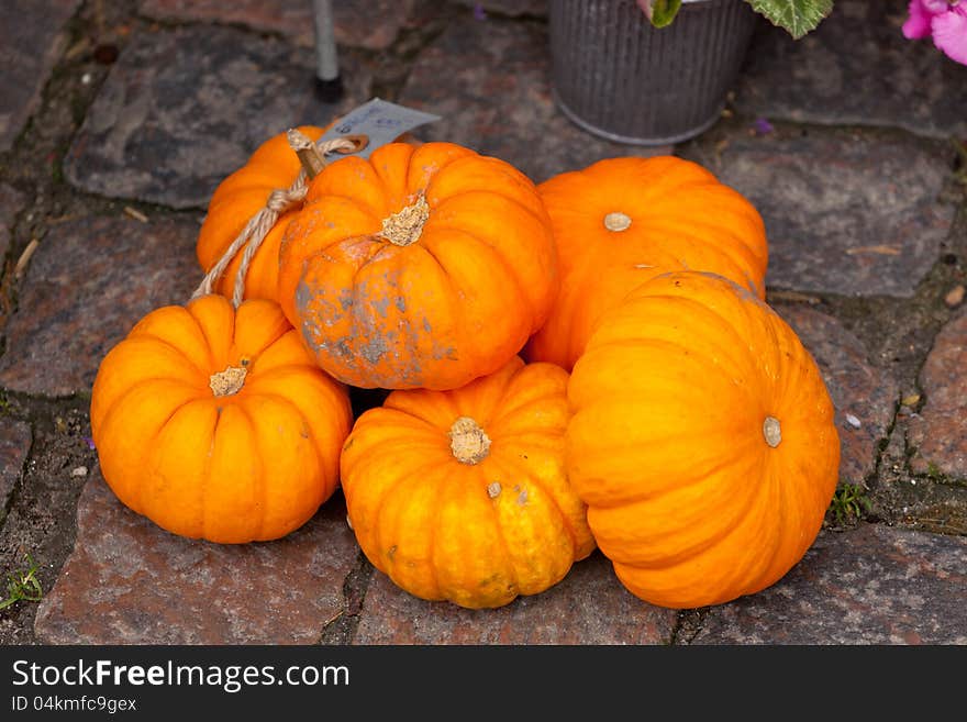 Orange pumpkin